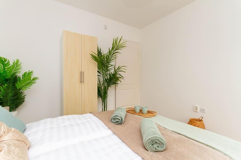 布达佩斯Family Lux Lounge In Voeroesmarty Street By Nw公寓 外观 照片